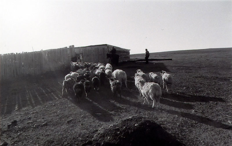 Mongolia